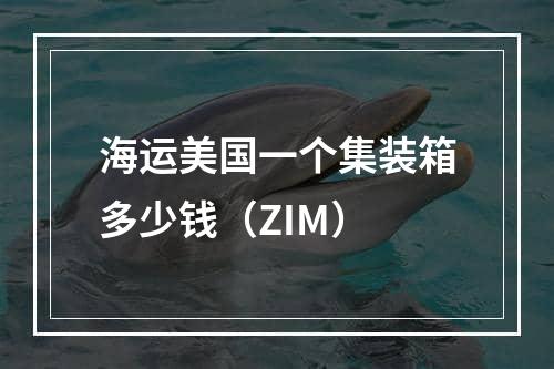 海运美国一个集装箱多少钱（ZIM）