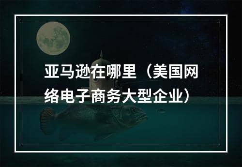 亚马逊在哪里（美国网络电子商务大型企业）