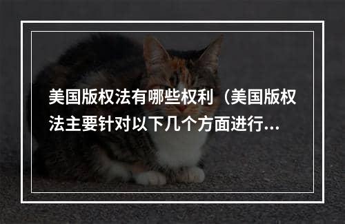 美国版权法有哪些权利（美国版权法主要针对以下几个方面进行保护）