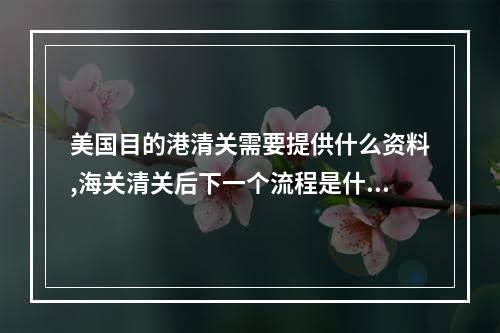 美国目的港清关需要提供什么资料,海关清关后下一个流程是什么