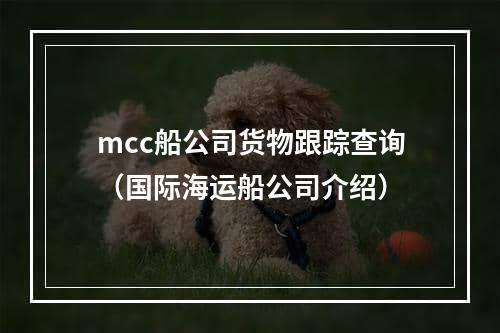 mcc船公司货物跟踪查询（国际海运船公司介绍）