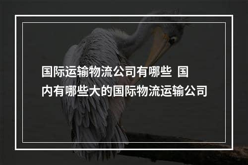 国际运输物流公司有哪些  国内有哪些大的国际物流运输公司