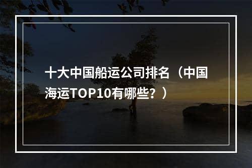 十大中国船运公司排名（中国海运TOP10有哪些？）