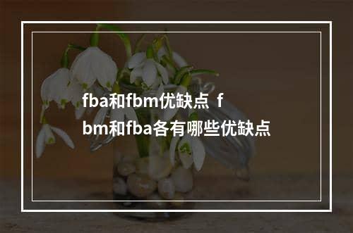 fba和fbm优缺点  fbm和fba各有哪些优缺点