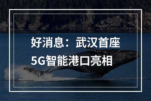 好消息：武汉首座5G智能港口亮相