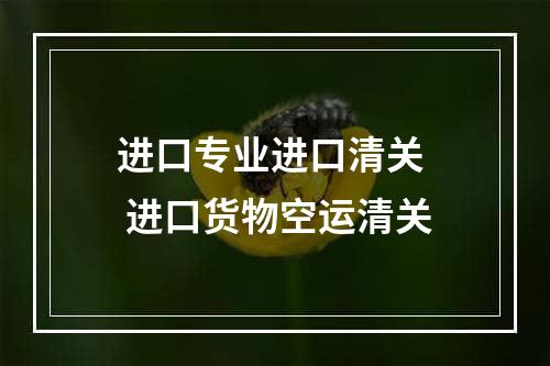 进口专业进口清关  进口货物空运清关