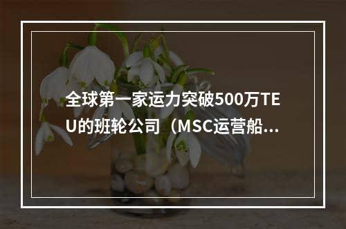 全球第一家运力突破500万TEU的班轮公司（MSC运营船队规模已达756艘）