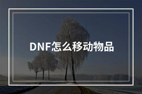 DNF怎么移动物品