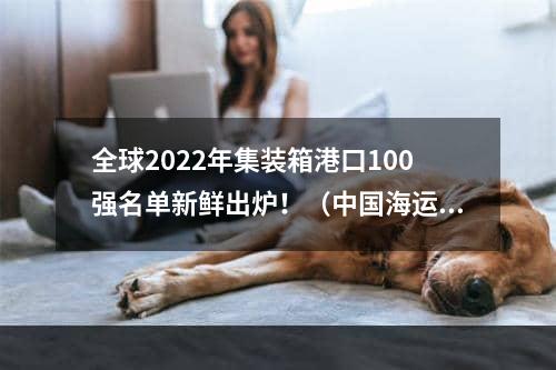 全球2022年集装箱港口100强名单新鲜出炉！（中国海运港口占据27席）