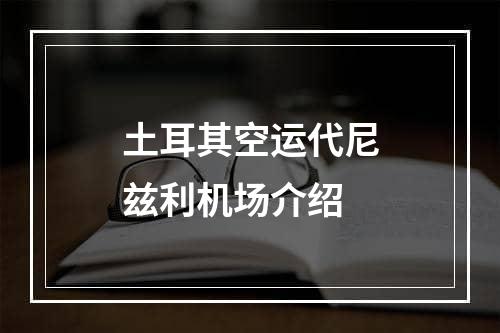 土耳其空运代尼兹利机场介绍