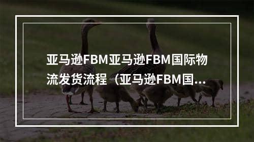 亚马逊FBM亚马逊FBM国际物流发货流程（亚马逊FBM国际物流计费公式）