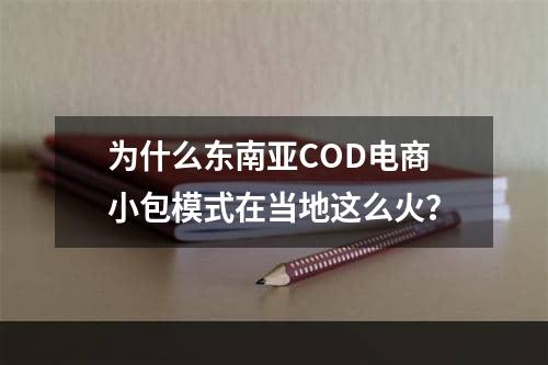 为什么东南亚COD电商小包模式在当地这么火？