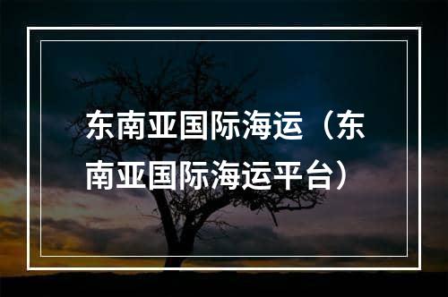 东南亚国际海运（东南亚国际海运平台）