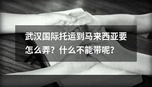 武汉国际托运到马来西亚要怎么弄？什么不能带呢？