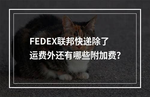 FEDEX联邦快递除了运费外还有哪些附加费？