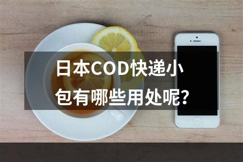 日本COD快递小包有哪些用处呢？