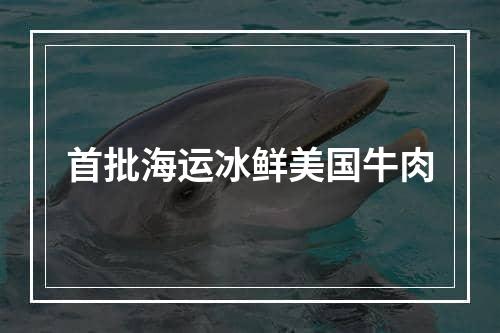 首批海运冰鲜美国牛肉