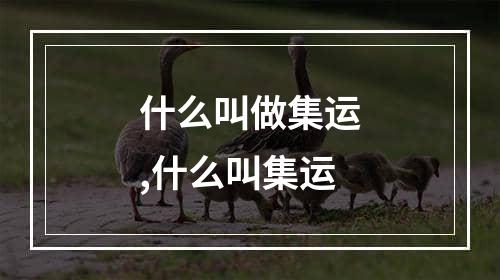 什么叫做集运,什么叫集运