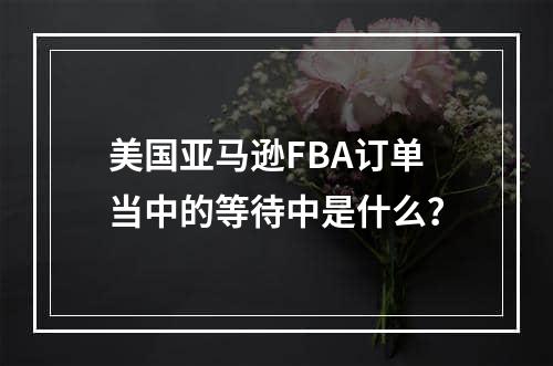 美国亚马逊FBA订单当中的等待中是什么？