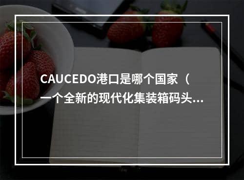 CAUCEDO港口是哪个国家（一个全新的现代化集装箱码头）