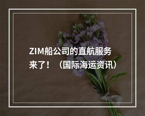 ZIM船公司的直航服务来了！（国际海运资讯）