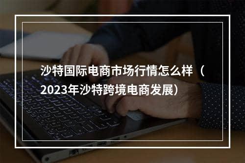 沙特国际电商市场行情怎么样（2023年沙特跨境电商发展）