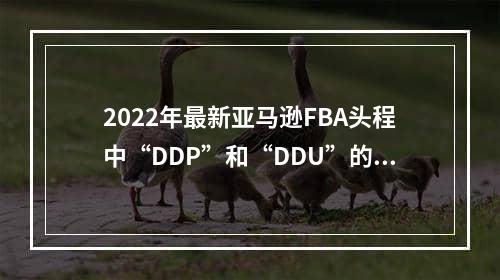 2022年最新亚马逊FBA头程中“DDP”和“DDU”的区别你都知道吗？