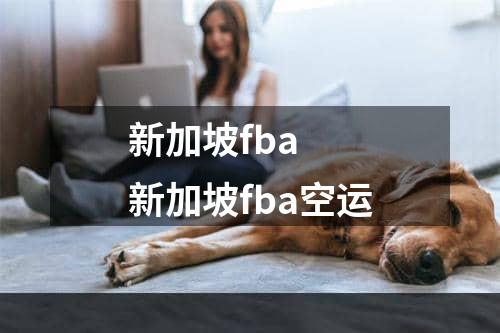 新加坡fba  新加坡fba空运