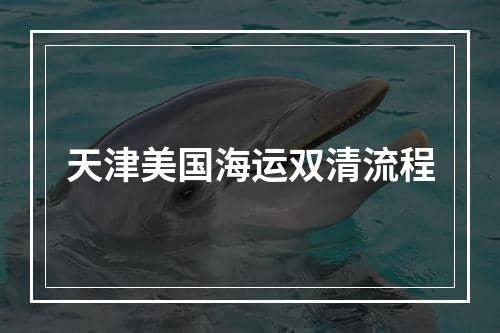 天津美国海运双清流程