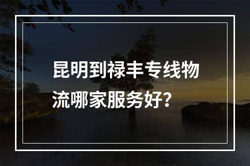 昆明到禄丰专线物流哪家服务好？