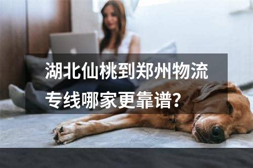 湖北仙桃到郑州物流专线哪家更靠谱？