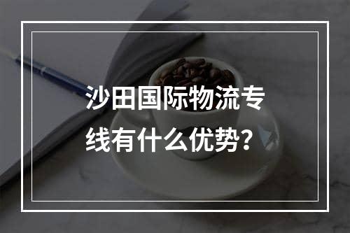 沙田国际物流专线有什么优势？