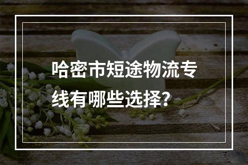 哈密市短途物流专线有哪些选择？