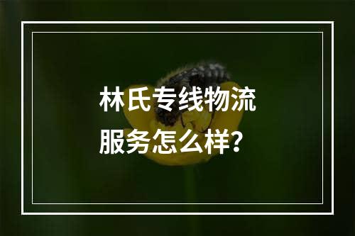 林氏专线物流服务怎么样？