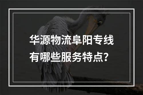 华源物流阜阳专线有哪些服务特点？