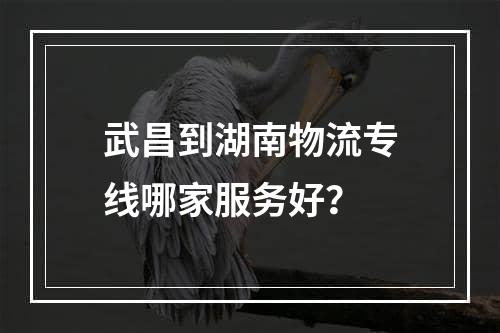 武昌到湖南物流专线哪家服务好？