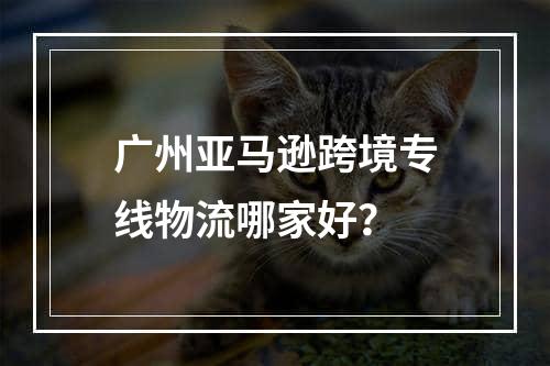 广州亚马逊跨境专线物流哪家好？