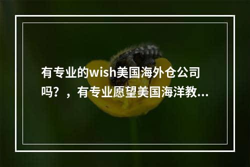 有专业的wish美国海外仓公司吗？，有专业愿望美国海洋教练公司吗？