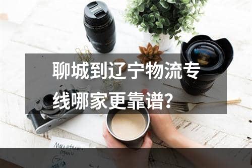 聊城到辽宁物流专线哪家更靠谱？