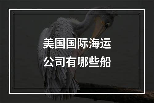 美国国际海运公司有哪些船