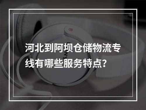 河北到阿坝仓储物流专线有哪些服务特点？