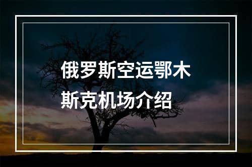 俄罗斯空运鄂木斯克机场介绍