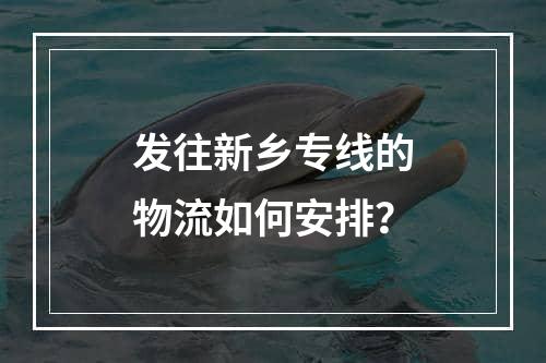 发往新乡专线的物流如何安排？