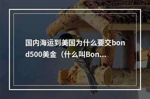 国内海运到美国为什么要交bond500美金（什么叫Bond费用）