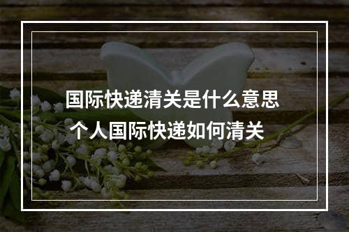 国际快递清关是什么意思  个人国际快递如何清关