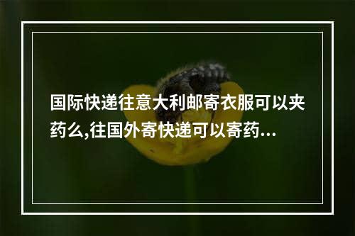 国际快递往意大利邮寄衣服可以夹药么,往国外寄快递可以寄药物吗现在