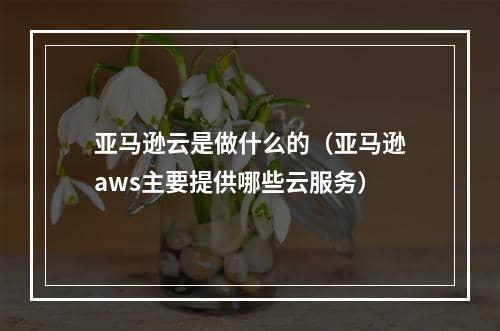 亚马逊云是做什么的（亚马逊aws主要提供哪些云服务）