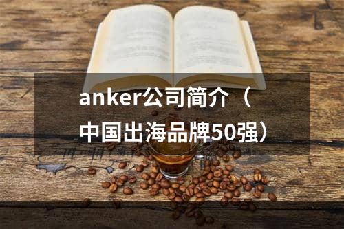 anker公司简介（中国出海品牌50强）