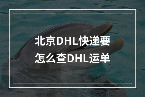 北京DHL快递要怎么查DHL运单