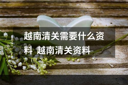 越南清关需要什么资料  越南清关资料